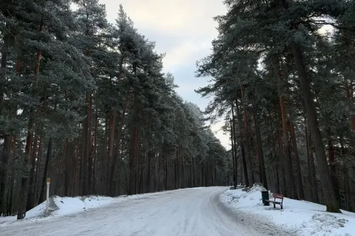 フィンランドで森林散骨はできる?埋葬法のルールとMetsähallitusの許可、シポーンコルピ国立公園の散骨許可書