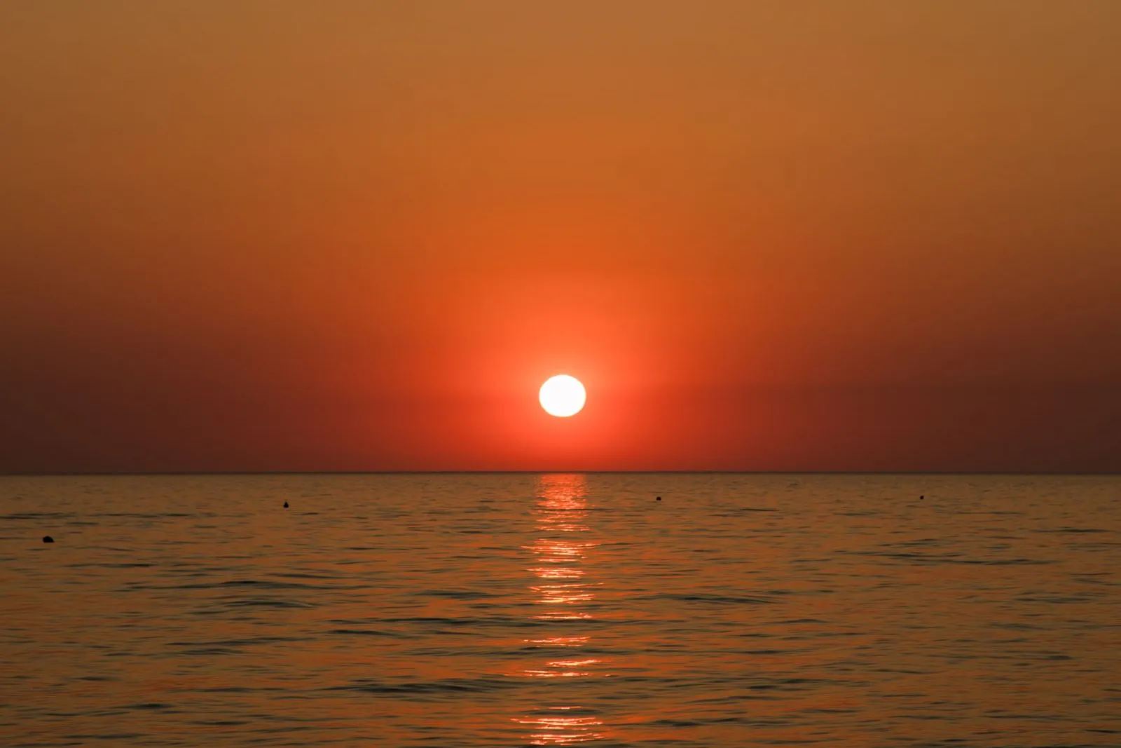 穏やかな海と水平線に差す夕日