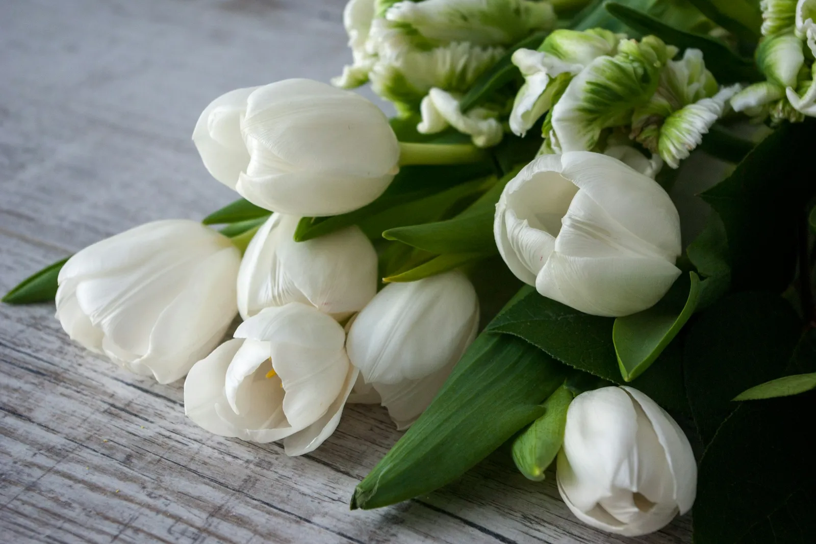 木のテーブルに置かれた白いチューリップの花束