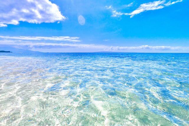 おもな散骨業者の種類